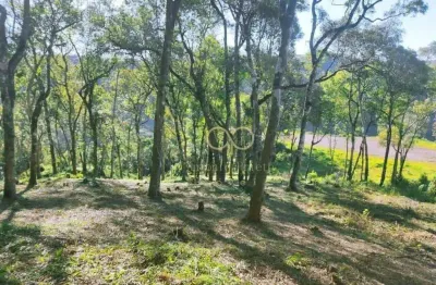 Área com 2 alqueires à venda por r$ 650.000,00 no centro de balsa nova/pr