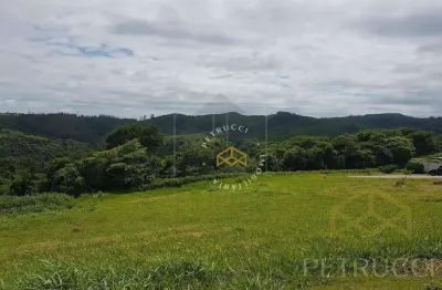 Terreno residencial à venda, monte alegre, vinhedo - te0010.
