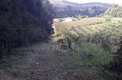 Chácara com 3 dormitórios à venda, 24000 m² por r$ 1.500.000,00 - condomínio jardim paulista ii - vinhedo/sp