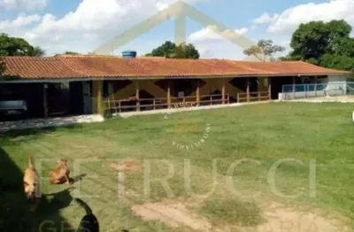 Chácara com 3 dormitórios à venda, 300 m² por r$ 2.680.000,00 - parque universitário de viracopos - campinas/sp