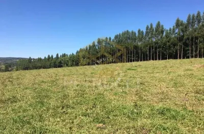 Terreno à venda, 4000 m² por r$ 2.000.000,00 - sousas - campinas/sp