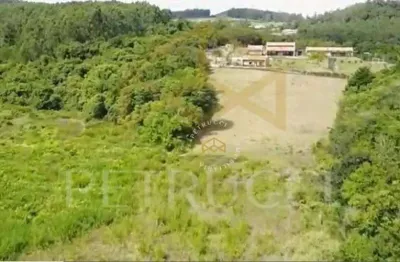 Terreno residencial à venda, jardim martinelli (sousas), campinas - te2187.