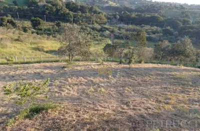 Área, 37360 m² - venda por r$ 2.500.000,00 ou aluguel por r$ 6.000,00 - joaquim egídio - campinas/sp