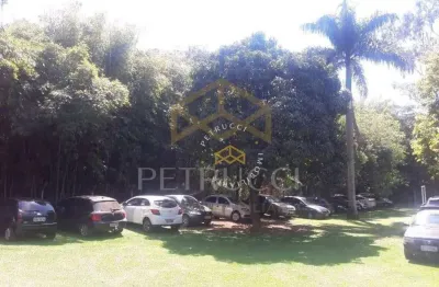 Chácara com 3 dormitórios à venda, 9500 m² por r$ 2.600.000,00 - fazenda tamburi - campinas/sp