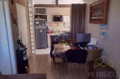 Apartamento com 3 dormitórios à venda, 57 m² por r$ 300.000,00 - vila marieta - campinas/sp