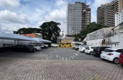 Terreno à venda, 786 m² por r$ 5.505.000,00 - cambuí - campinas/sp