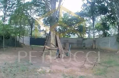 Terreno residencial à venda, chácara santa margarida, campinas - te2947.