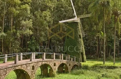 Terreno residencial à venda, swiss park, campinas - te3103.