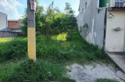 Terreno à venda, 250 m² - jardim novo maracanã - campinas/sp