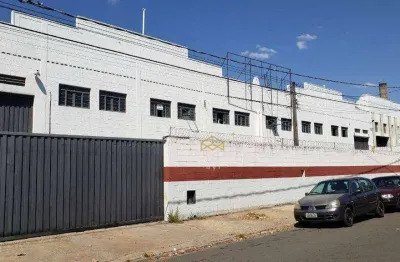 Barracão para alugar, 750 m² - chácaras campos dos amarais - campinas/sp