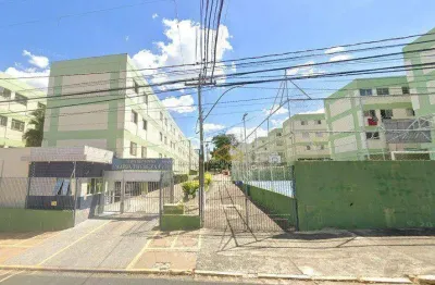 Apartamento com 2 dormitórios à venda, 50 m²  - jardim paulicéia - campinas/sp