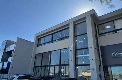 Sala para alugar, 74 m² por r$ 1.700,10/mês - swiss park - campinas/sp