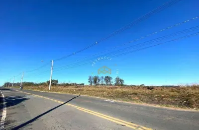 Terreno à venda, 16 m² por r$ 5.990.000,00 - barão geraldo - campinas/sp