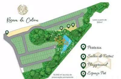 Terreno à venda, 445 m² por R$ 594.862,00 - Condomínio Reserva da Colina - Indaiatuba/SP