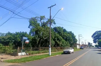 Casa com 2 quartos à venda na Rua Bela Cintra, Casa Antiga, 665, Água Vermelha, São Carlos