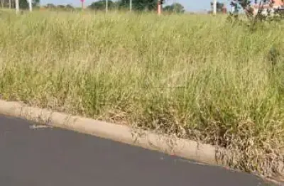 Terreno à venda na Rua Bela Cintra, Jardim Dos Ipês, s/n, Água Vermelha, São Carlos