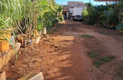 Terreno comercial para alugar na Rua Domingos Barbieri, Quadra 40 Lote 3, Vila Harmonia, Araraquara