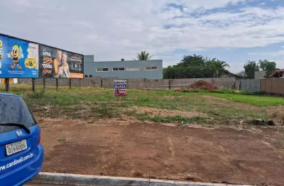 Terreno comercial para alugar na Rua Napoleão Selmi-dei, Qd 49 Lote 03, 0., Vila Harmonia, Araraquara
