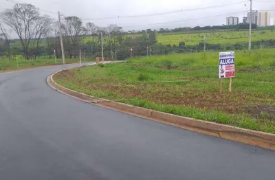 Terreno comercial para alugar na Rodovia Engenheiro Thales De Lorena Peixoto Júnior, Lote 01 Quadra 09, Monjolinho, São Carlos