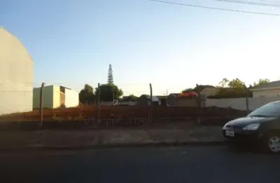 Terreno comercial para alugar na Rua Francisco Possa, Parque Santa Felícia Jardim, São Carlos
