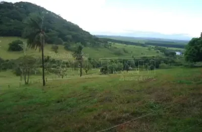 Fazenda à venda na Rua Sao Sebastiao Ii / Estrada Boiadeira Ribeirao - Dourado Ou Parque Do Lago, Rua Sao Sebastiao Ii / Estrada Boiadeira Ribeirao - Dourado Ou Parque Do Lago, Zona Rural, Dourado