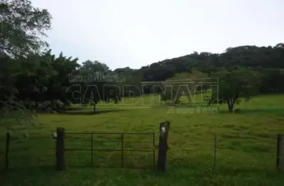 Fazenda à venda na Rua Buracao - Mataozinho / Estrada Boiadeira Ribeirao Bonito - Dourado, Rua Buracao - Mataozinho / Estrada Boiadeira Ribeirao Bonito - Dourado, Zona Rural, Dourado