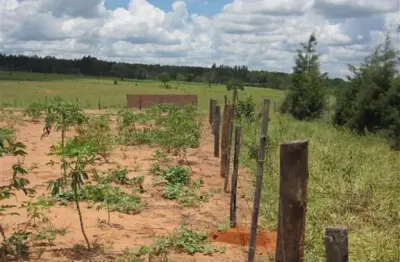 Fazenda à venda na Rua D, Rua D, Zona Rural, Ribeirão Bonito