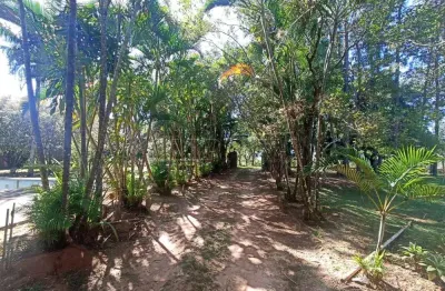 Fazenda à venda na Rua Luzia De Almeida Rollo Carneiro, Chaçara, Lote 15 Qu, Chácara Leila, São Carlos