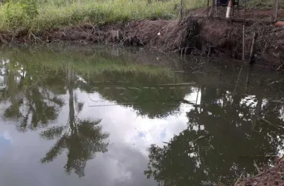 Fazenda à venda na Rodovia Washington Luiz, Laudicéia, Km 225, Área Rural de São Carlos, São Carlos