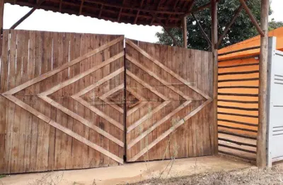 Fazenda à venda na Rodovia Washington Luiz, Km 225, Laudicéia, Área Rural de São Carlos, São Carlos