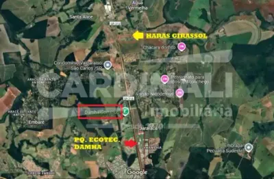 Fazenda à venda na Rodovia Sp 318, Km 245, Haras Girassol, Área Rural de São Carlos, São Carlos