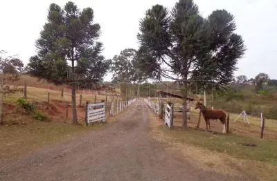 Fazenda à venda na Avenida Capitão Luiz Brandão, Gleba A, Jardim Santa Maria II, São Carlos