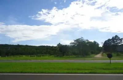 Fazenda à venda na Estrada Recreio Campestre, Nº02, 2001, 2001, Área Rural de São Carlos, São Carlos