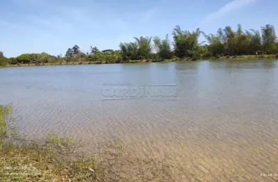 Fazenda à venda na Rod. Thales De Lorena Peixoto Júnior, 242, Encontro Valparaíso I, São Carlos