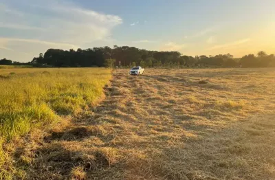 Fazenda à venda na Rodovia Washington Luiz, Km 291 Pista Norte, 03, Recreio Campestre Idanorma, Araraquara