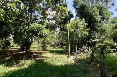 Fazenda à venda na Rodovia Sp15, Que Liga Ribeirão Bonito A Brotas, S/N, Zona Rural, Ribeirão Bonito