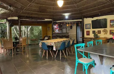 Casa com 4 quartos para alugar na Rua Padre Teixeira, 958, Centro, São Carlos