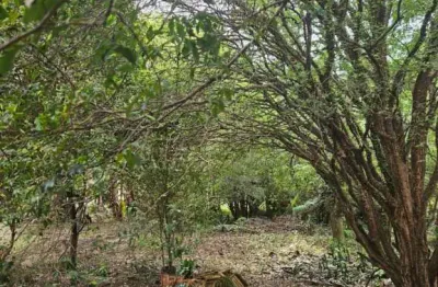 Casa com 3 quartos à venda na Rua Sete De Setembro, Chácara Na Cidade, 4184, Vila Rancho Velho, São Carlos