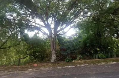 Terreno à venda na Avenida José Gonçalves Carneiro, De Frente C/nº 130 E 145., S/n, Parque Santa Mônica, São Carlos