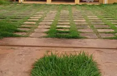 Fazenda à venda na Rua Paulo Tardivo, 20, Centro, Brotas