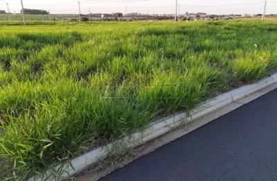 Terreno à venda na Rua Miguel Petrucelli, 1, S/N, Jardins do Porto, São Carlos