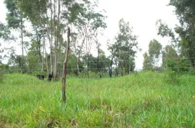 Barracão / Galpão / Depósito à venda na Rodovia Luís Augusto De Oliveira, Lote 39 E 41 Quadra A, Área Rural de São Carlos, São Carlos