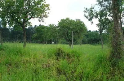 Barracão / Galpão / Depósito à venda na Rodovia Luís Augusto De Oliveira, Sp 215   Lote 57/58/59 Quadra A, Área Rural de São Carlos, São Carlos