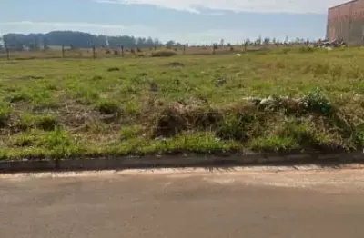 Terreno à venda na Rua Vereador José Luís Rabello, s/n, Jardim Letícia, São Carlos
