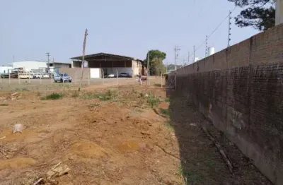 Terreno à venda na Rua Alexandre Pedrazzani, Fundo Com Palácio Leilões, s/n, Jardim Novo Horizonte, São Carlos