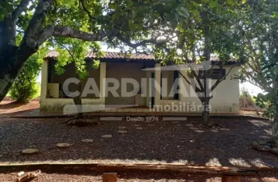 Fazenda à venda na Estrada Abílio Augusto Corrêa, Sitio, Machados, Araraquara