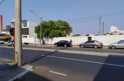 Ótimo terreno murado na av. são carlos com saída na episcopal, visibilidade para vários negócios.