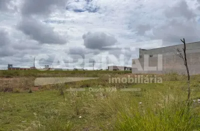 Terreno comercial para alugar na Avenida Maria Amadio Zaccarim, Barracao 1, sn, Residencial Arcoville, São Carlos