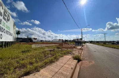 Terreno comercial para alugar na Av. Humberto Carlos Morasco  Esquina Com Antônio Novais, s/n 1, Parque Santa Felícia Jardim, São Carlos