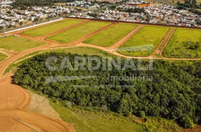 Terreno à venda na Rua Miguel Petroni, ., 4800, Parque Santa Felícia Jardim, São Carlos